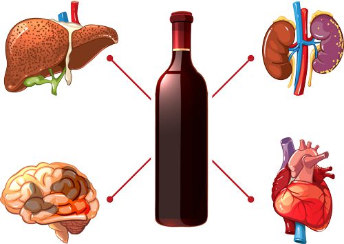 How Alcohol May Be Damaging to Your Body - alcohol effects on organs - waypoint recovery center